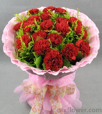 19֧�tɫ����ܰ���S�L����