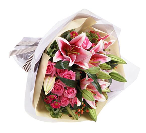 ��ɫ��ˮ�ٺ�4֦���K�ѷ�õ��9֦�������m����������~�ϻ���