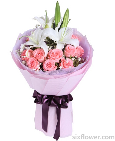 ���^�ٺ�1֦���찲�ȷ�õ��11֦�������m���S�L���M�����c�Y��