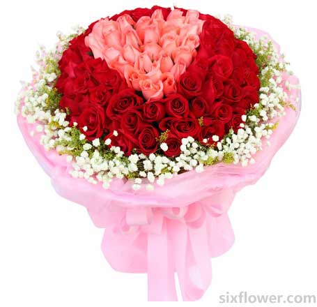 99֦��Ʒõ�廨����33֦��ɫõ��M�ɵ����ξ�����66֦�tõ��h(hu��n)�@���܇��M�����c�Y