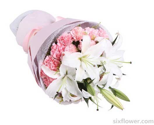 2֦����ˮ�ٺ�,19֦�ۿ���ܰ,�S�L�m������