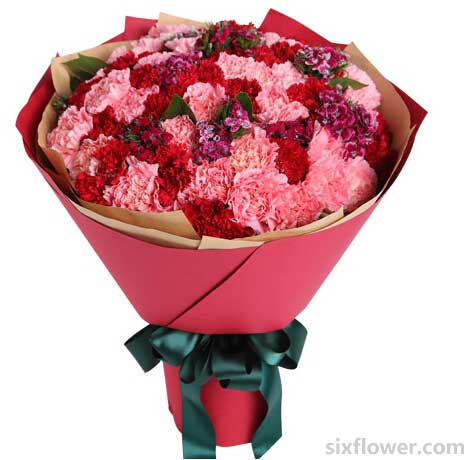 �tɫ����ɫ����ܰ��66֦�����Զ��ڼt��������ʯ��÷���G�~�m��