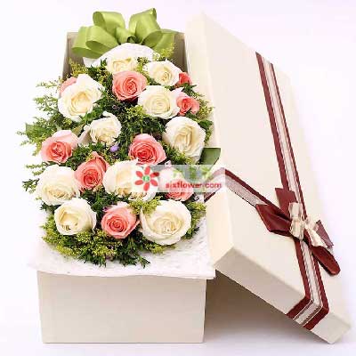 ��ɫ����õ��������Ӌ(j��)19֦���G�~ �M���Ǵ���