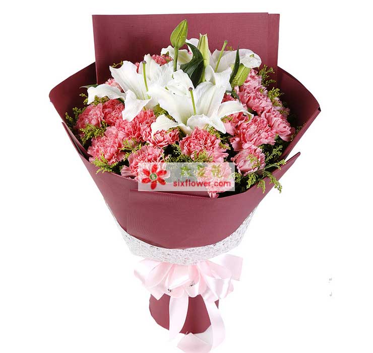 21֦��ɫ����ܰ��3��װٺ����S�L���䣻