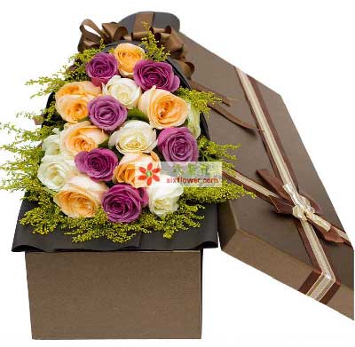 ��ɫ���㙉����ɫõ�干19֦��ɫ���䣨�������һ�Nȱ؛���Q�����ɫ�����S�L����