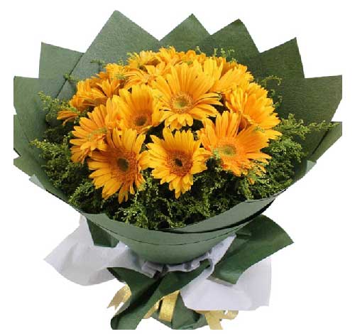 �еć�(gu��)�����и��H��(ji��)��̫�(y��ng)����Ԣ�⸸�H�񂥴��̫�(y��ng)��