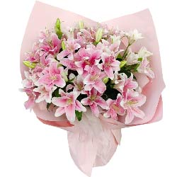 12֧��ɫ���^�ٺ����c(di��n)���ҵ�����