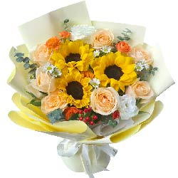 7���㙉õ��3�����տ�����(sh��)�F(xi��n)��ĉ�(m��ng)��