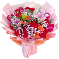 11��tɫ����ܰ5��tõ����Ը���Ĳ�ů�