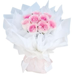 9�������õ��������Ո(q��ng)��ָ��