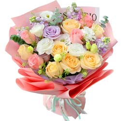 13��õ��2֧���_�m���f�������