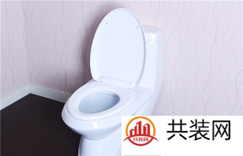 抽水馬桶十大品牌   馬桶哪個產(chǎn)品好