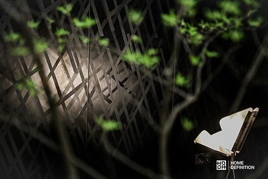 HD林麗妮 | 以設計為驅動 聚焦品牌差異化優(yōu)勢打造