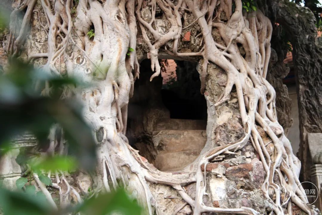 廈門(mén)別墅設(shè)計(jì)公司_廈門(mén)別墅裝修公司_廈門(mén)別墅裝飾