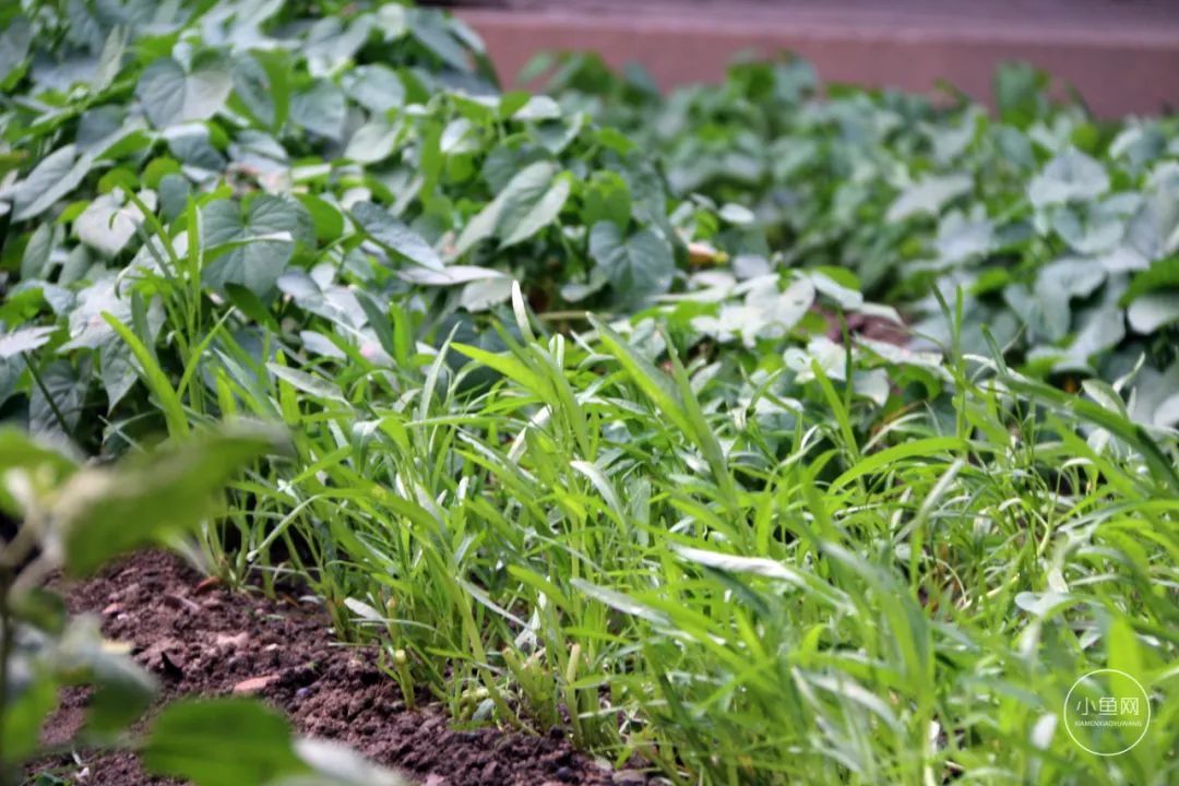 廈門(mén)別墅裝修公司_廈門(mén)別墅設(shè)計(jì)公司_廈門(mén)別墅裝飾