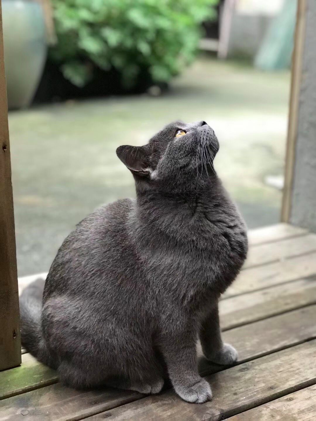 廈門(mén)裝修房子錢(qián)要交稅嗎_廈門(mén)裝修房子錢(qián)要多少_廈門(mén)裝修房子要多少錢(qián)