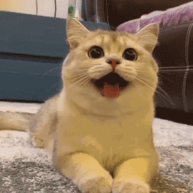 廈門(mén) 裝修 全包_廈門(mén)裝修全包一平方多少錢(qián)_廈門(mén)裝修全包套餐報(bào)價(jià)