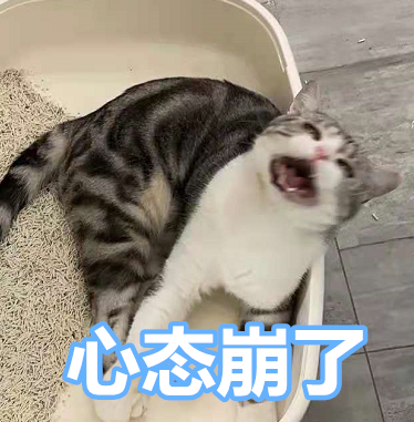 廈門設(shè)計(jì)裝修價(jià)格_廈門裝修設(shè)計(jì)_廈門裝修價(jià)格設(shè)計(jì)公司