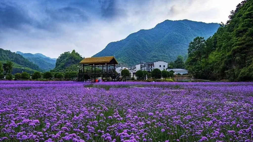 廈門婚禮場(chǎng)地布置_廈門場(chǎng)地婚禮布置多少錢_廈門婚慶布置