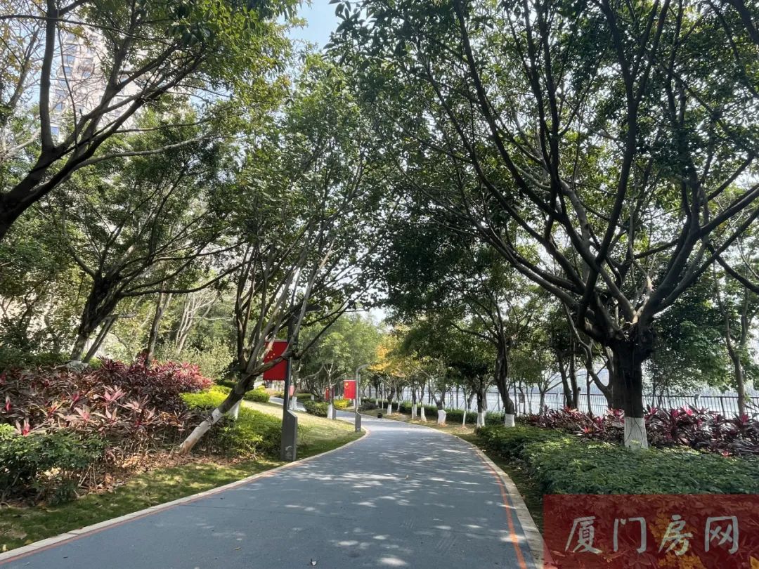 廈門別墅裝修價格_廈門別墅裝修_別墅廈門裝修圖片