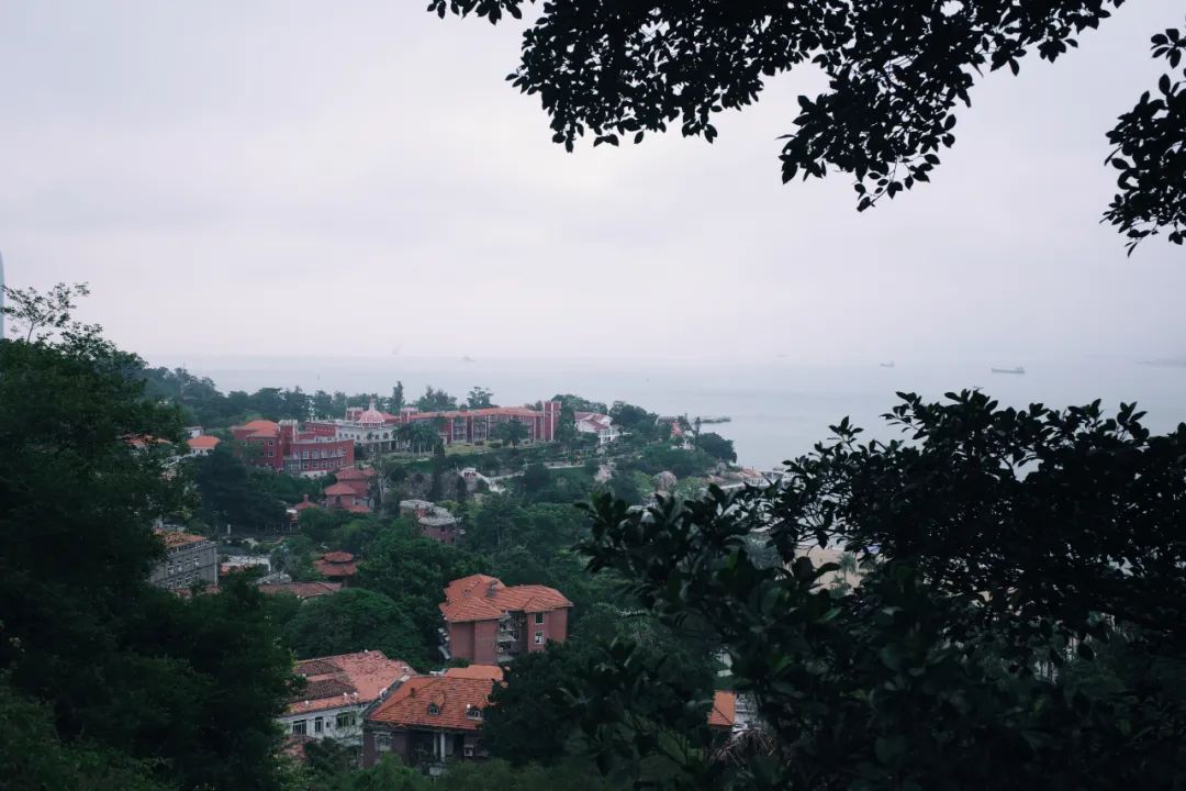 福州龍頭裝修_廈門龍頭裝修_廈門十大裝修