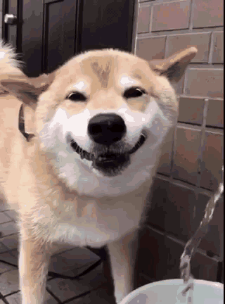 廈門(mén)復(fù)式樓裝修_廈門(mén)裝修樓復(fù)式樓價(jià)格_廈門(mén)復(fù)式房