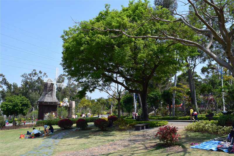 廈門場地布置_廈門實景演出_廈門場景布置