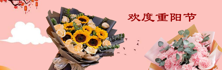 ��ꖹ�(ji��)ӆ��