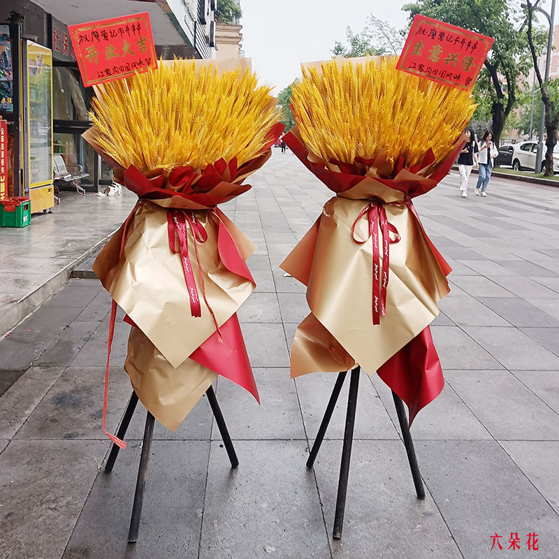 ����������4���_�I(y��)�����_�I(y��)���@�ͻ�������